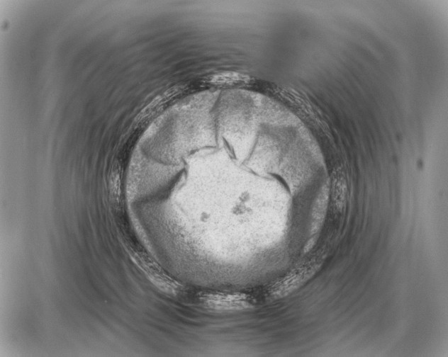 X0000087400375200705111832