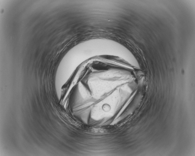 X0000087400376200705111832