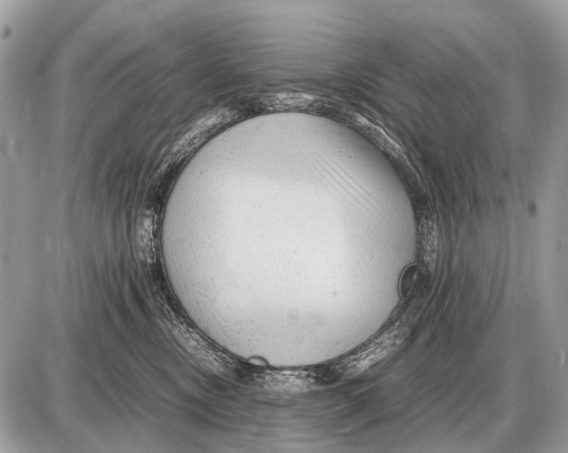 X0000087400378200705111832