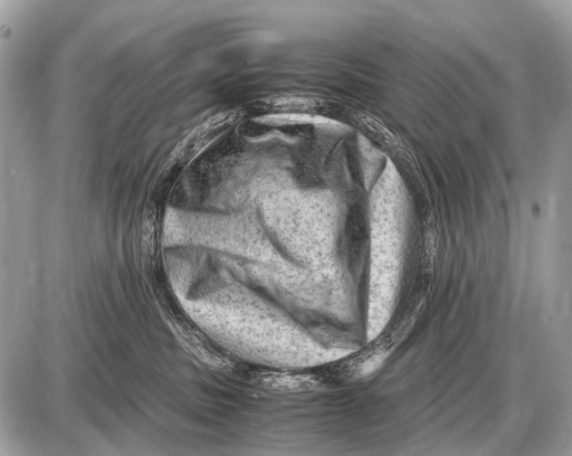 X0000087400379200705111832