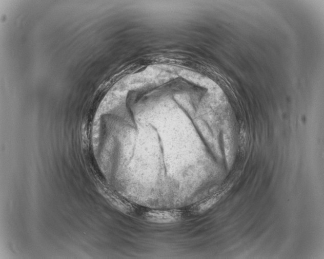 X0000087400381200705111832