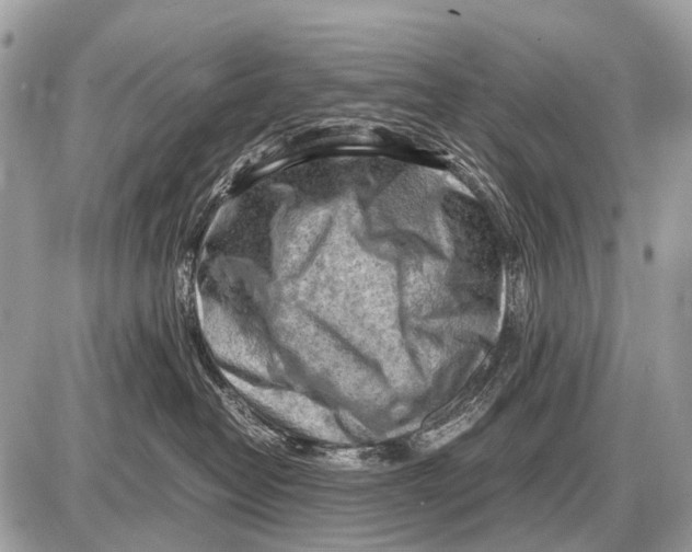 X0000087400382200705111832