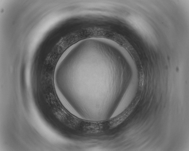 X0000087400383200705111832