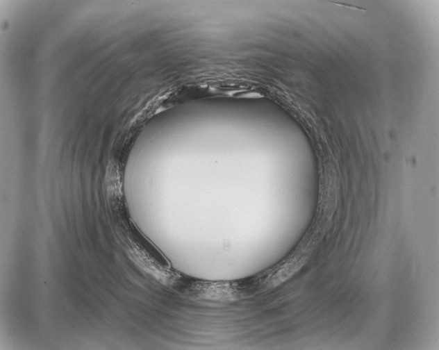 X0000087400384200705111832