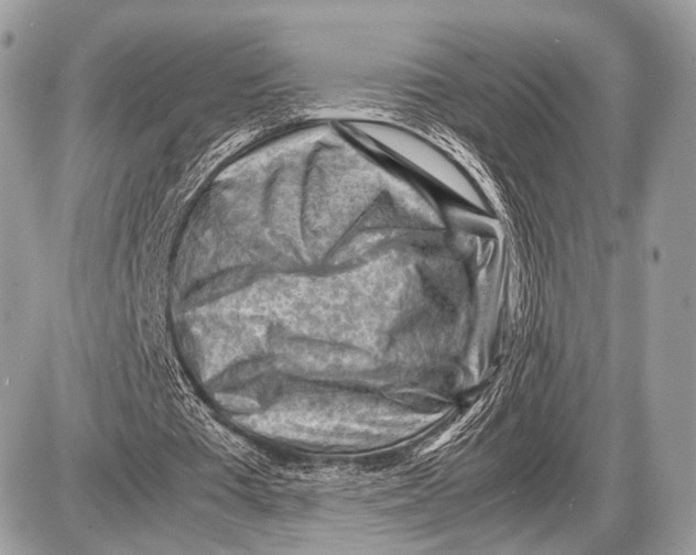 X0000087400385200705111831