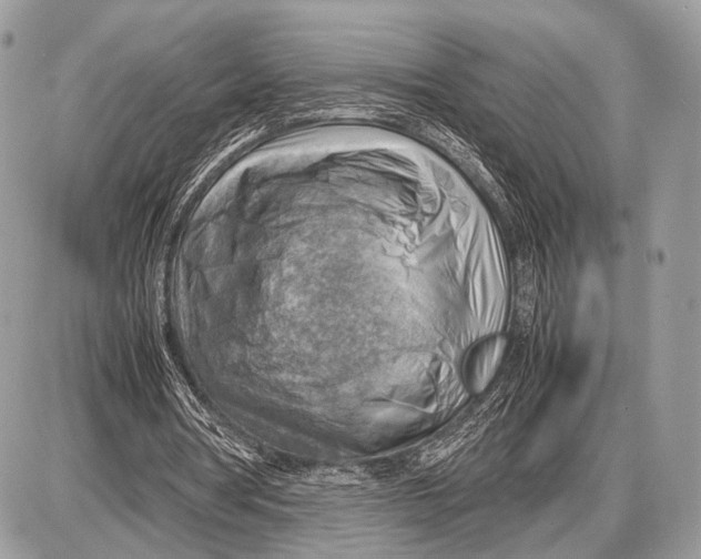 X0000087400386200705111831