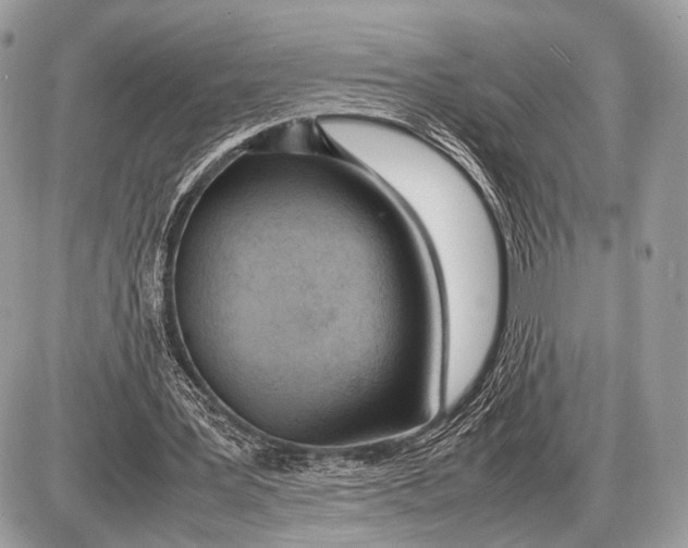 X0000087400387200705111831