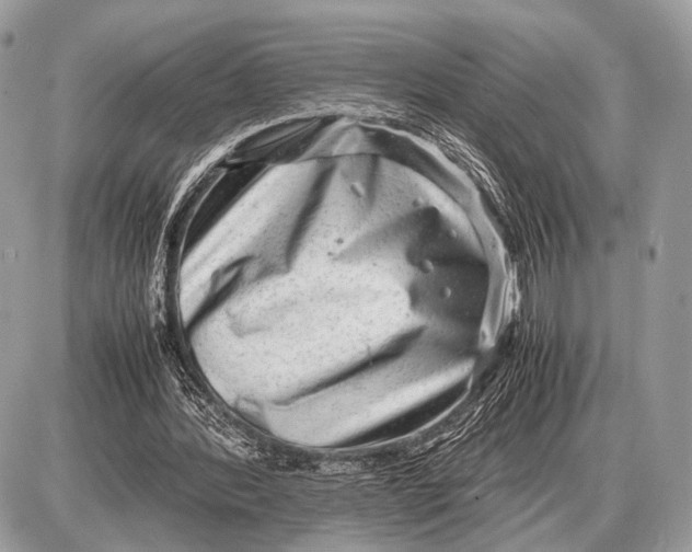 X0000087400388200705111831