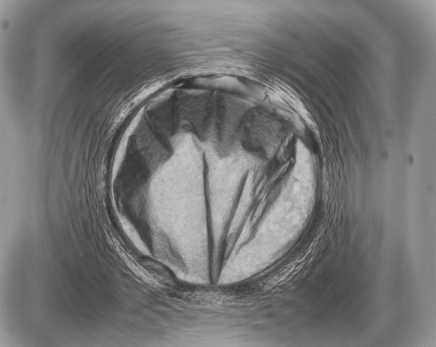 X0000087400389200705111831