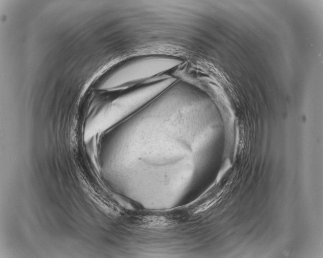 X0000087400392200705111831