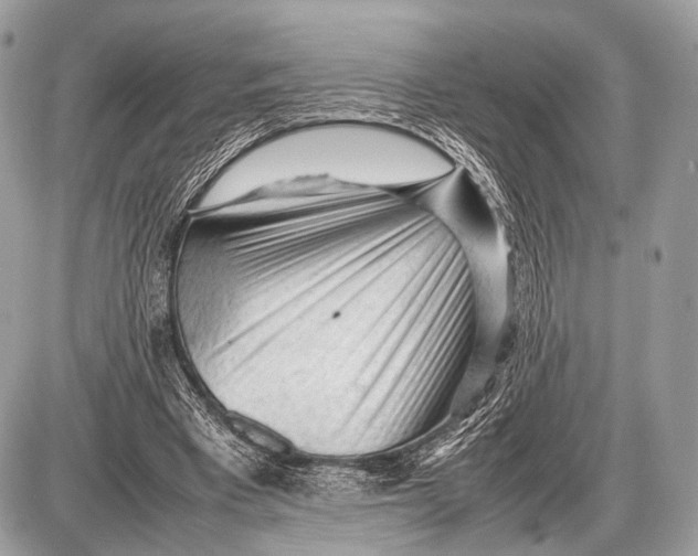 X0000087400393200705111831