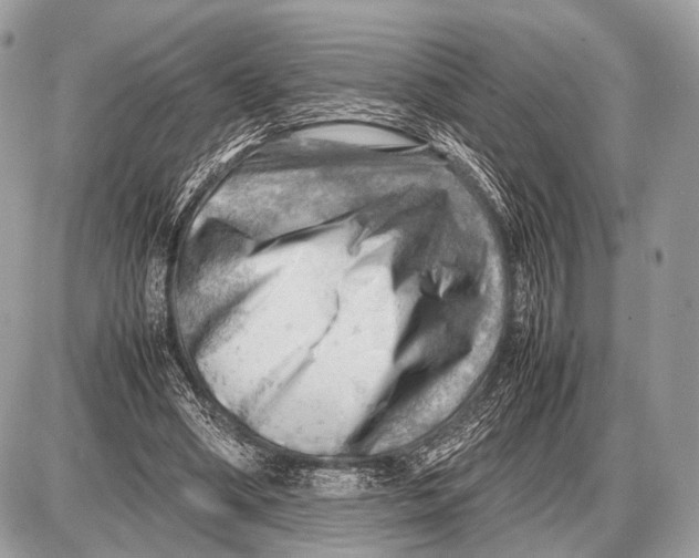 X0000087400394200705111831