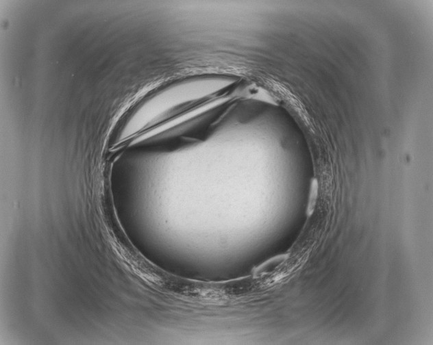 X0000087400395200705111831