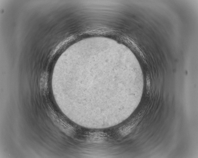 X0000087400396200705111831