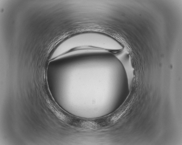 X0000087400397200705111831