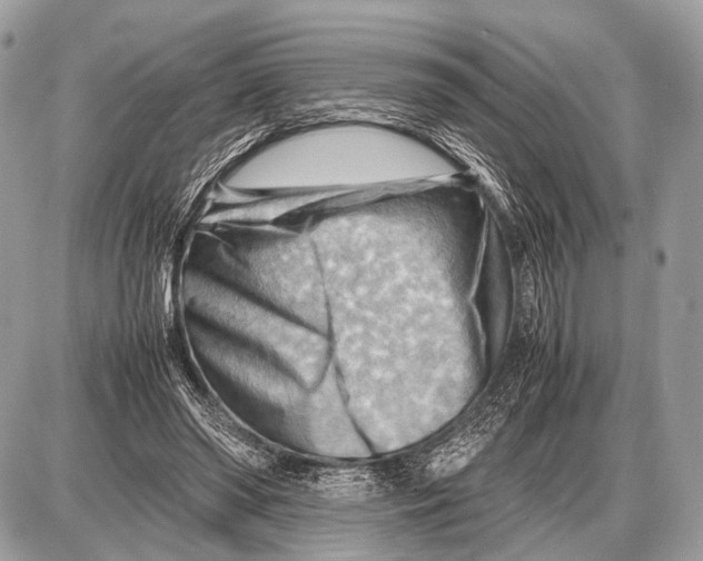 X0000087400398200705111831