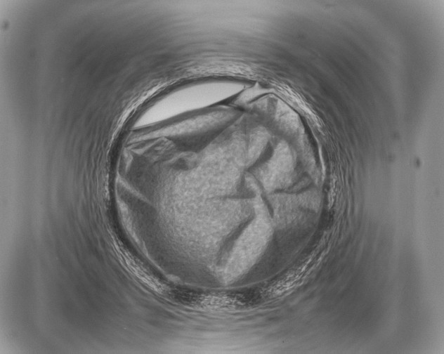 X0000087400399200705111831