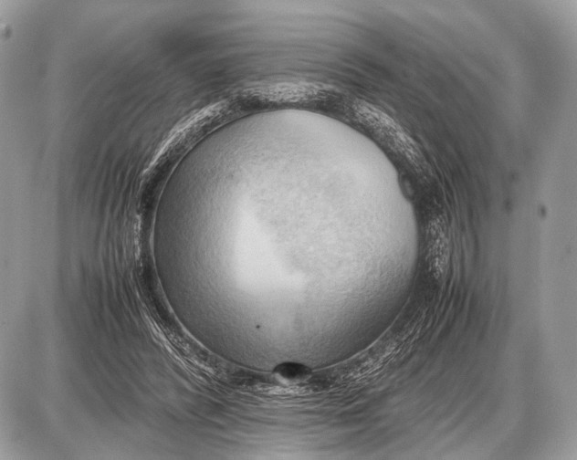 X0000087400400200705111831