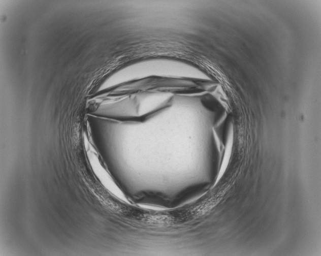 X0000087400401200705111831