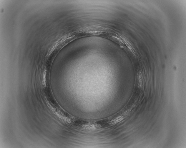 X0000087400404200705111831