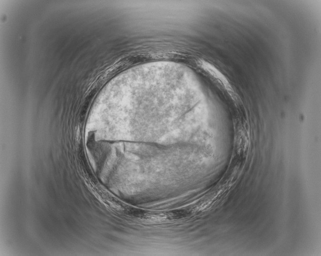 X0000087400405200705111831