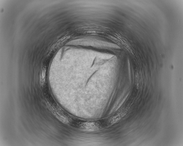 X0000087400406200705111831