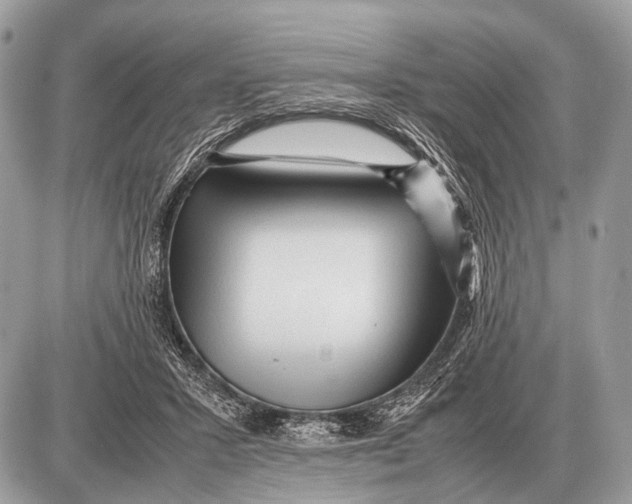 X0000087400407200705111831