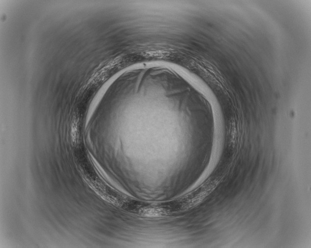 X0000087400408200705111831