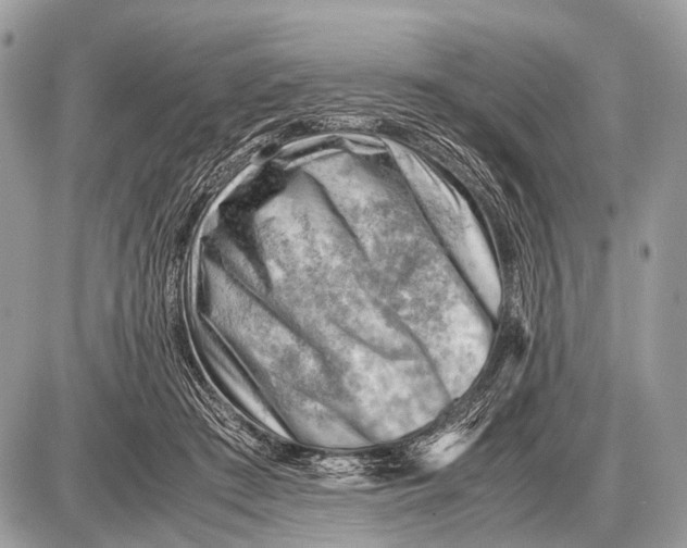 X0000087400409200705111831