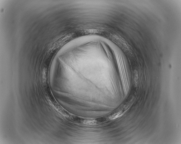 X0000087400410200705111831