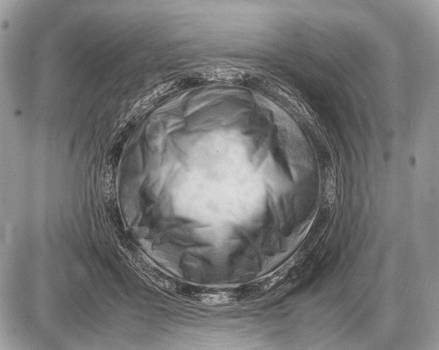 X0000087400411200705111831