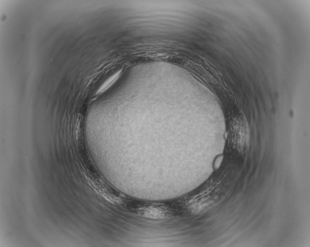 X0000087400412200705111831