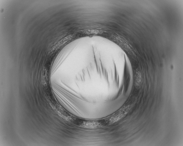 X0000087400414200705111830