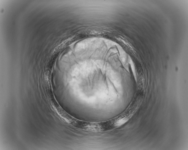 X0000087400415200705111830