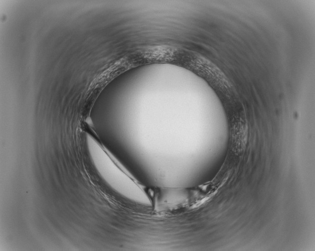 X0000087400416200705111830