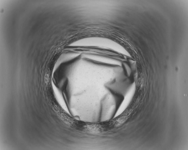 X0000087400417200705111830