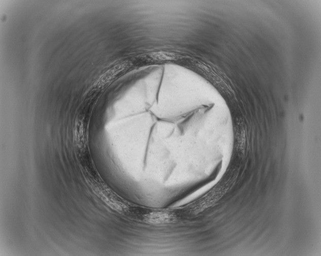 X0000087400418200705111830