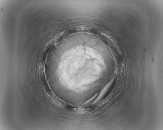 X0000087400419200705111830