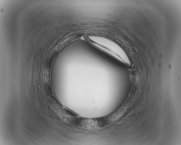 X0000087400421200705111830