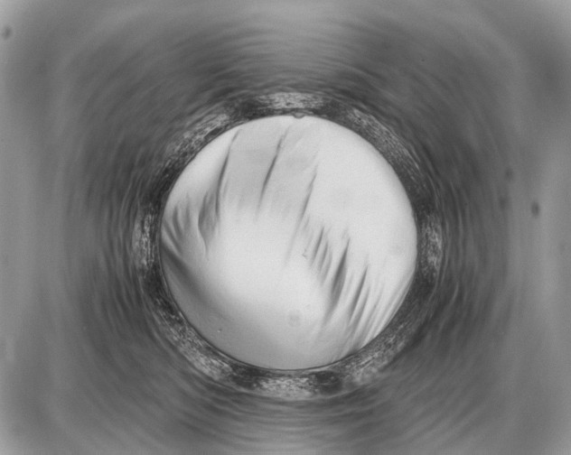 X0000087400422200705111830