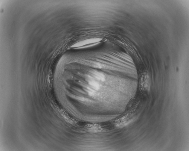 X0000087400424200705111830