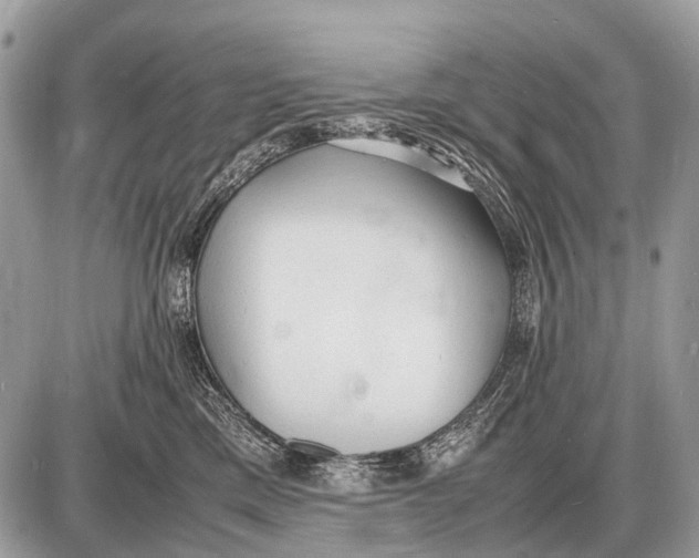 X0000087400425200705111830