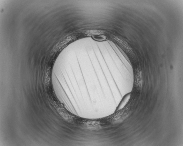 X0000087400426200705111830