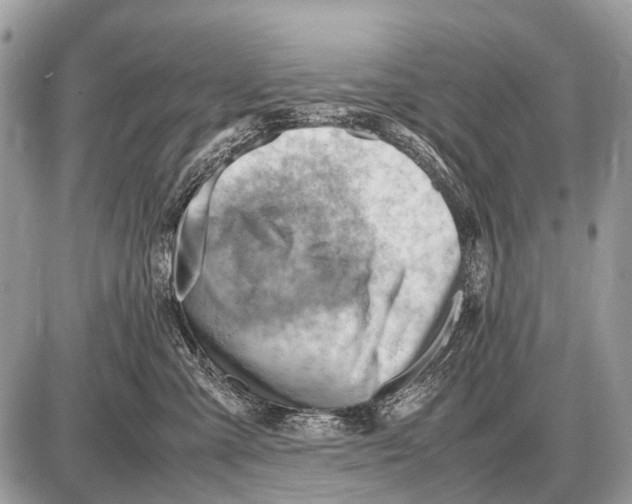 X0000087400427200705111830