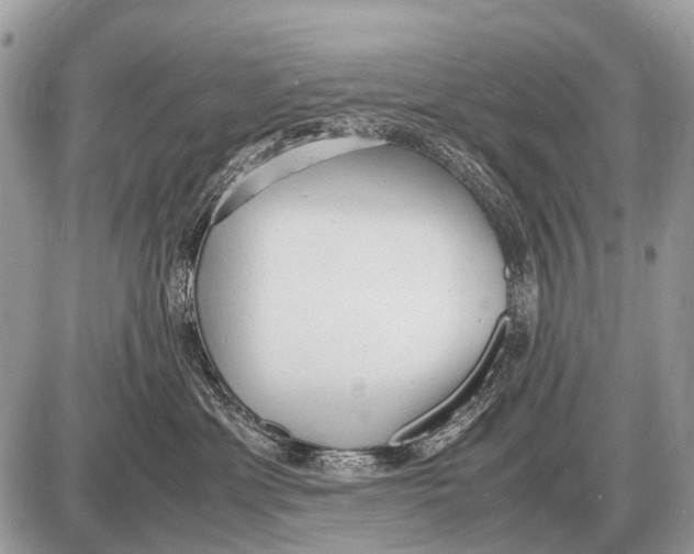 X0000087400429200705111830