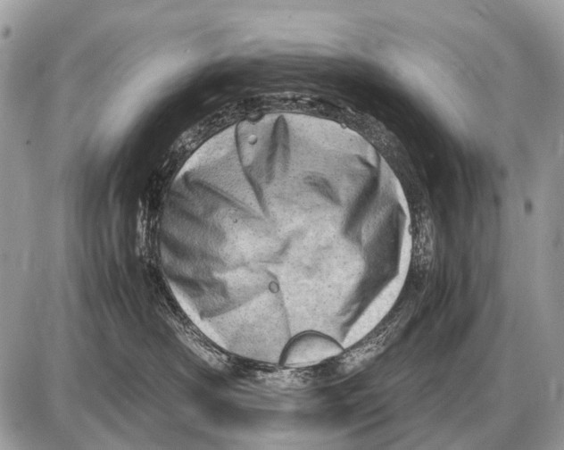 X0000087400430200705111830