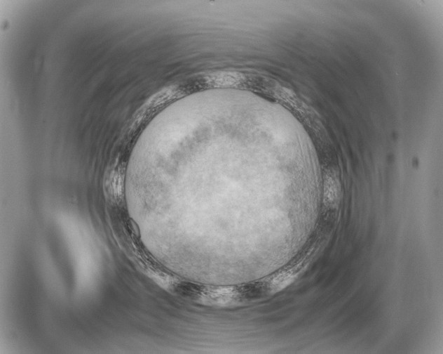 X0000087400431200705111830