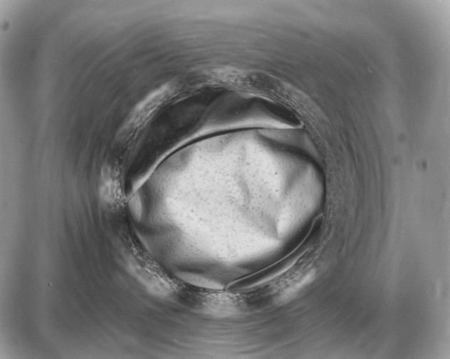 X0000087400432200705111830