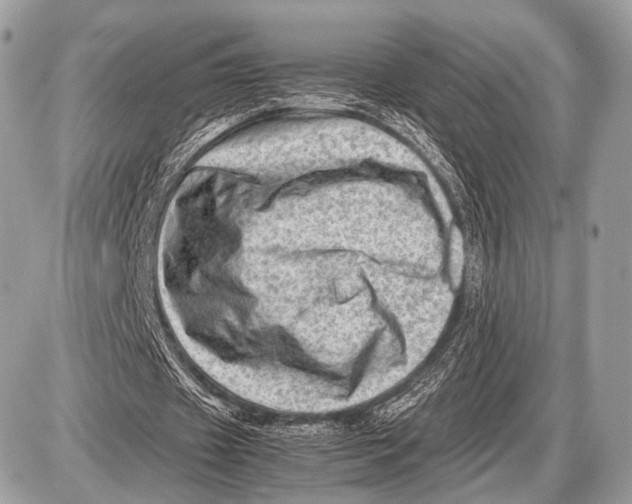 X0000087400433200705111829