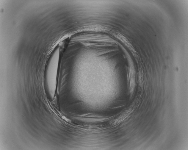 X0000087400434200705111829